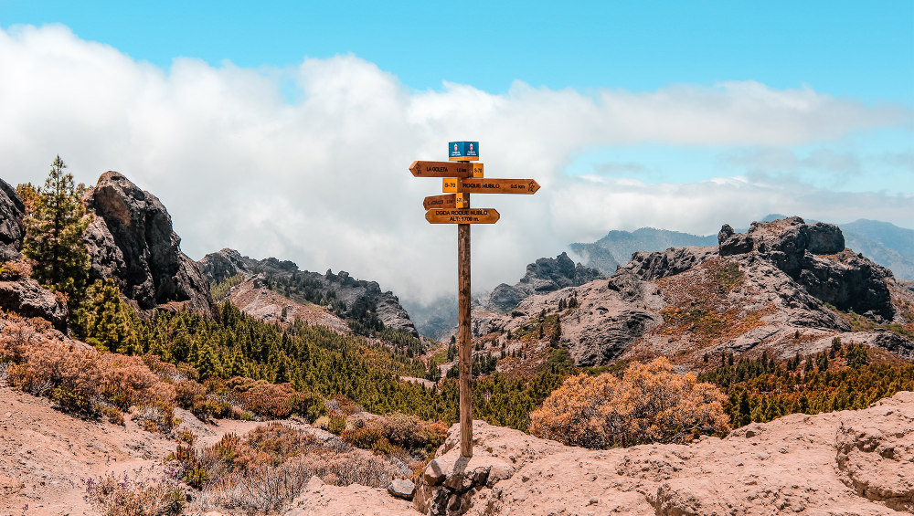 Groot netwerk van sollicitanten in de Kempen