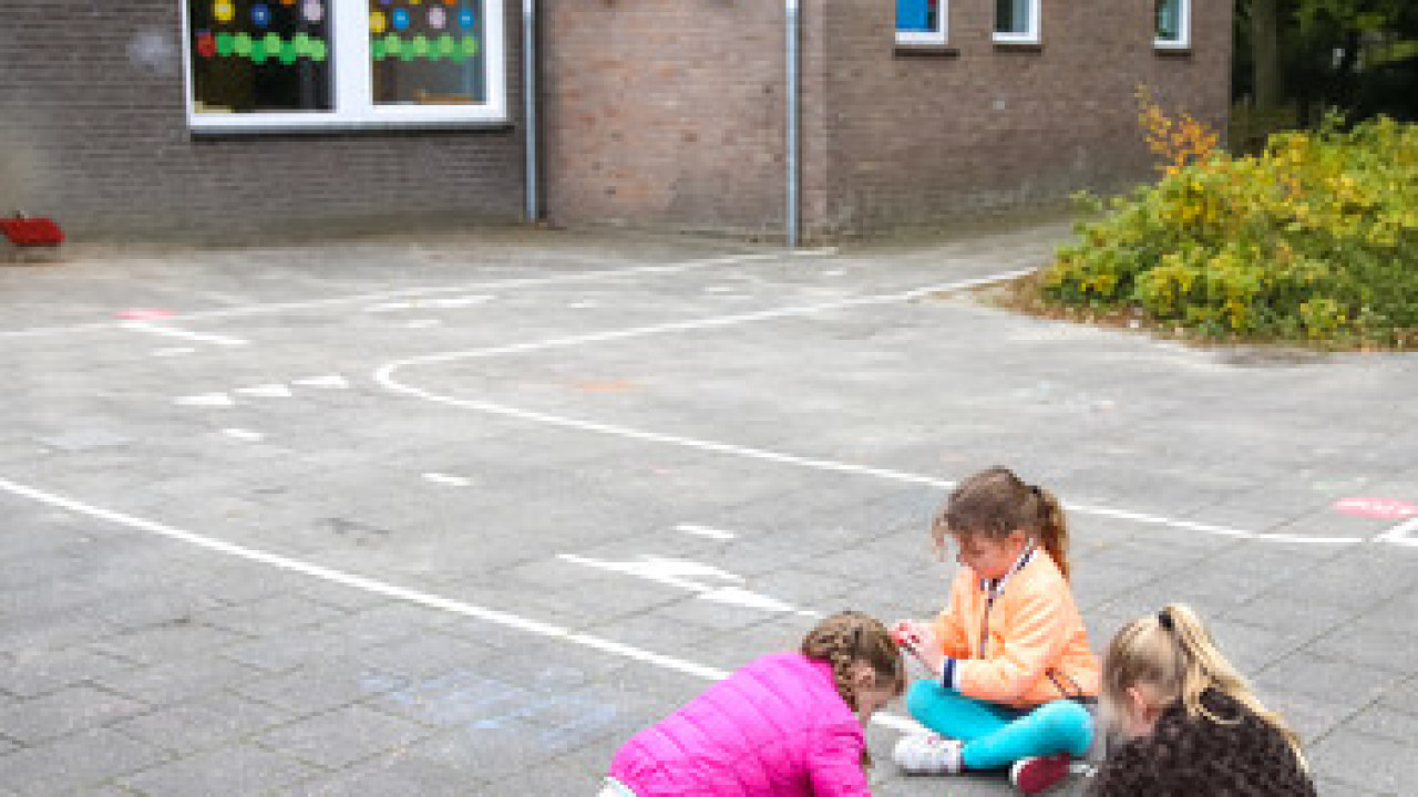 SKOzoK Veldhoven afbeelding 6