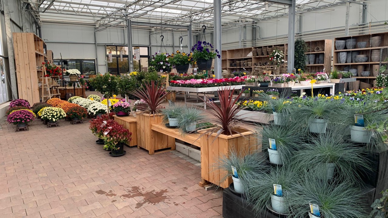 Plantenkwekerij Brugmans Bergeijk afbeelding 1