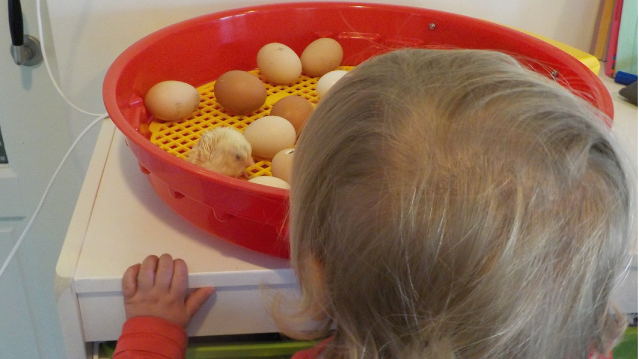 Kinderdagverblijf Wilton's Hof Oostelbeers afbeelding 1