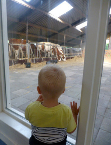 Kinderdagverblijf Wilton's Hof Oostelbeers afbeelding 5