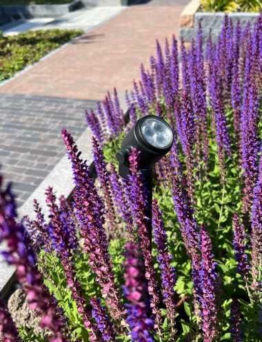 Wintermans Sierbestratingen Eersel afbeelding 5