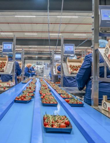 Scherpenhuizen Eindhoven afbeelding 3