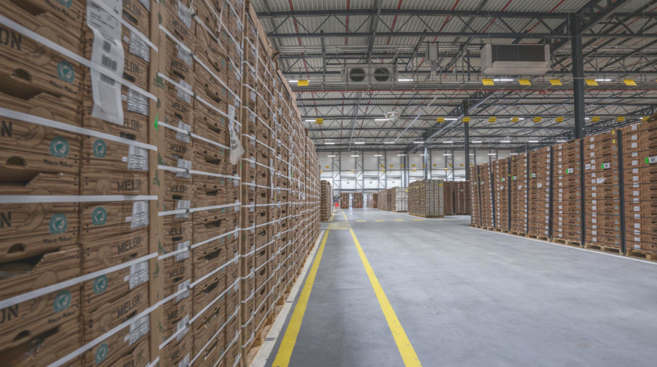 Scherpenhuizen Eindhoven afbeelding 4