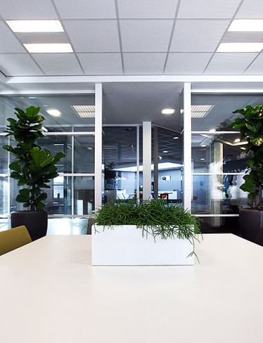 iS Wand & Plafond Systemen Bergeijk afbeelding 5