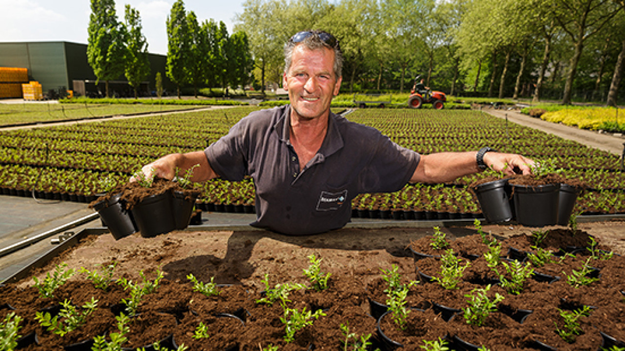 Diamant-groep Concern TILBURG afbeelding 1