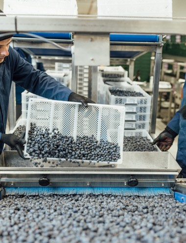 Scherpenhuizen BV Eindhoven afbeelding 3