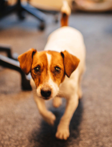 Freightwatch Benelux B.V. Waalre afbeelding 5