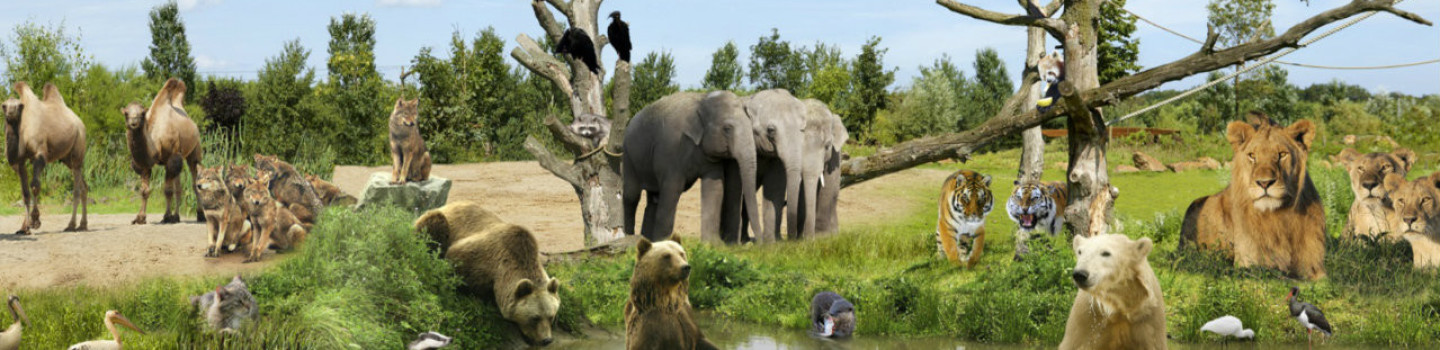 Eindhoven Zoo