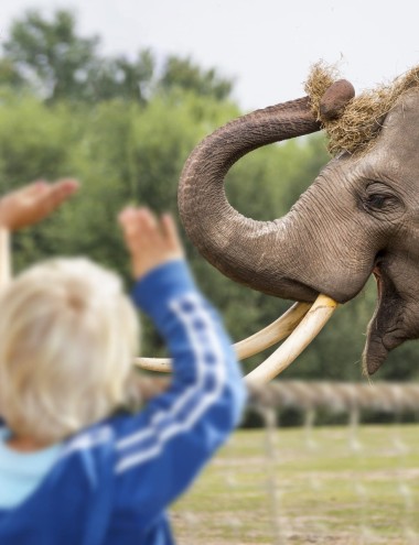 Eindhoven Zoo Mierlo afbeelding 3