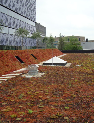 Van Doorn Dakspecialist Veldhoven afbeelding 3 Van Doorn Dakspecialist Veldhoven afbeelding 3