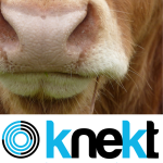 Knekt.nl logo