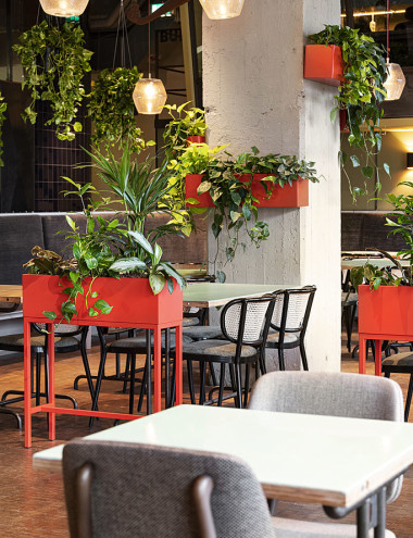 Interieurbeplanting De Klerk B.V. VELDHOVEN afbeelding 3