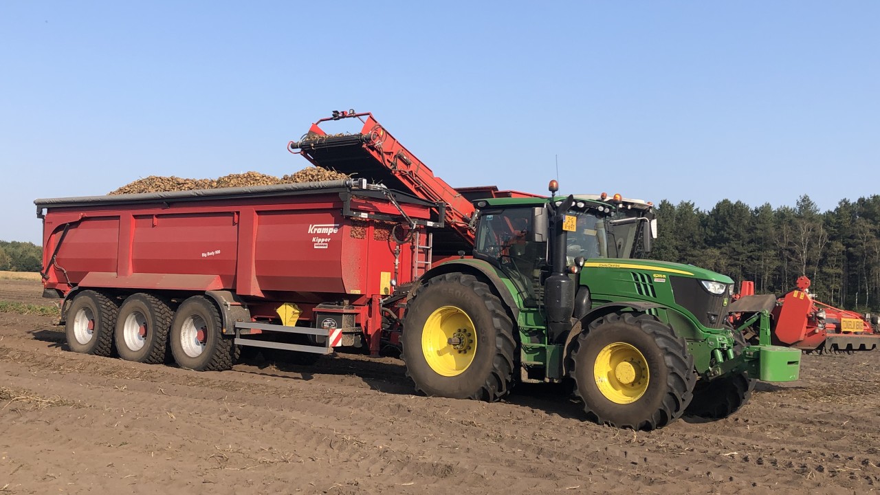 Mark Huijbregts Reusel afbeelding 6