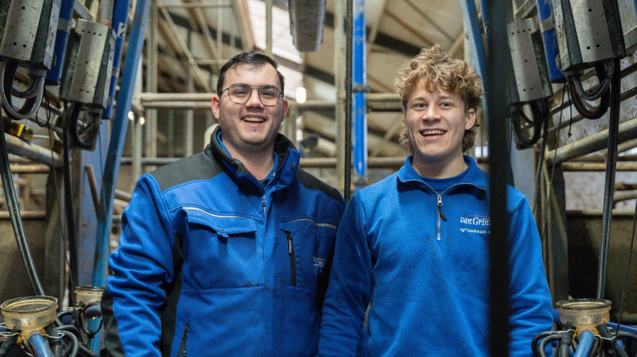 Van Grinsven B.V. Gemert afbeelding 4