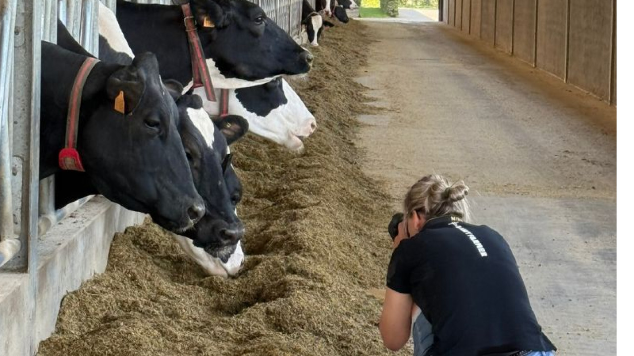 Ingenieursbureau Heemskerk B.V. Diessen afbeelding 1