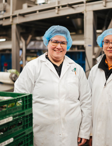 Groentekwekerij Van den Einden B.V. LIEROP afbeelding 3