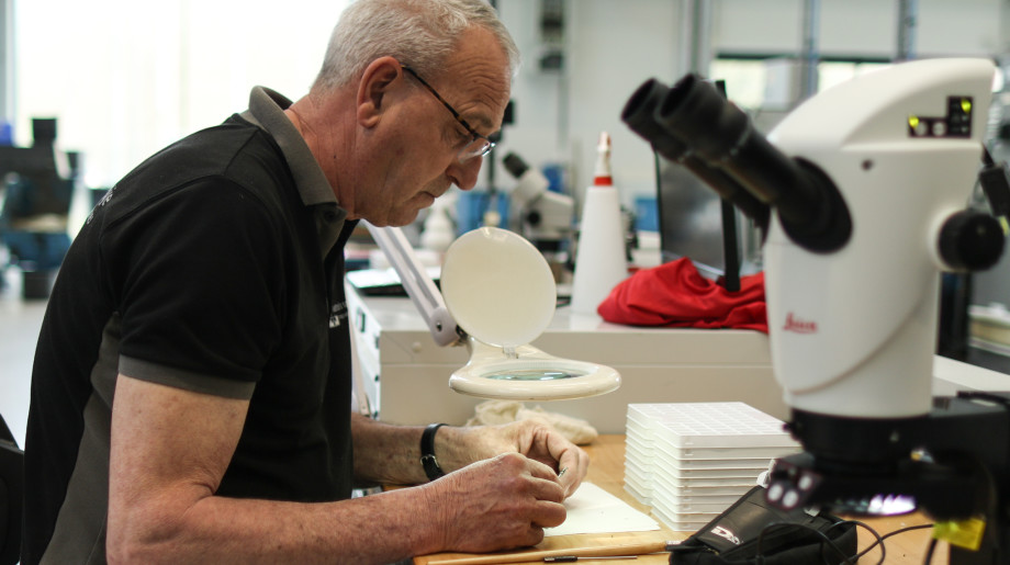 Settels Savenije group of companies B.V. Eindhoven afbeelding 2