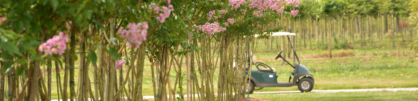 Boomkwekerij Johan van Overbeek