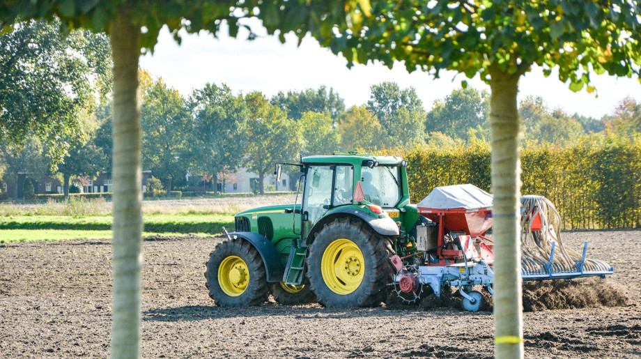 Boomkwekerij Johan van Overbeek OIRSCHOT afbeelding 2