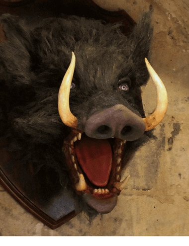 Herberg in het Wilde Zwijn B.V. BERGEIJK afbeelding 5 Herberg in het Wilde Zwijn B.V. BERGEIJK afbeelding 5