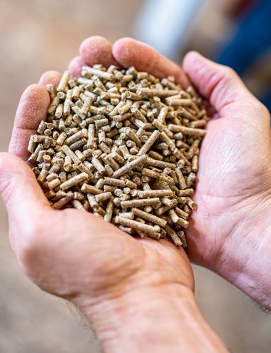 Voergroep Zuid B.V. Deurne afbeelding 5