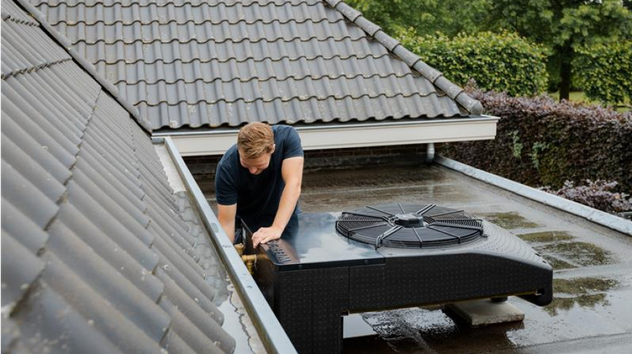 Weheat Duizel afbeelding 4