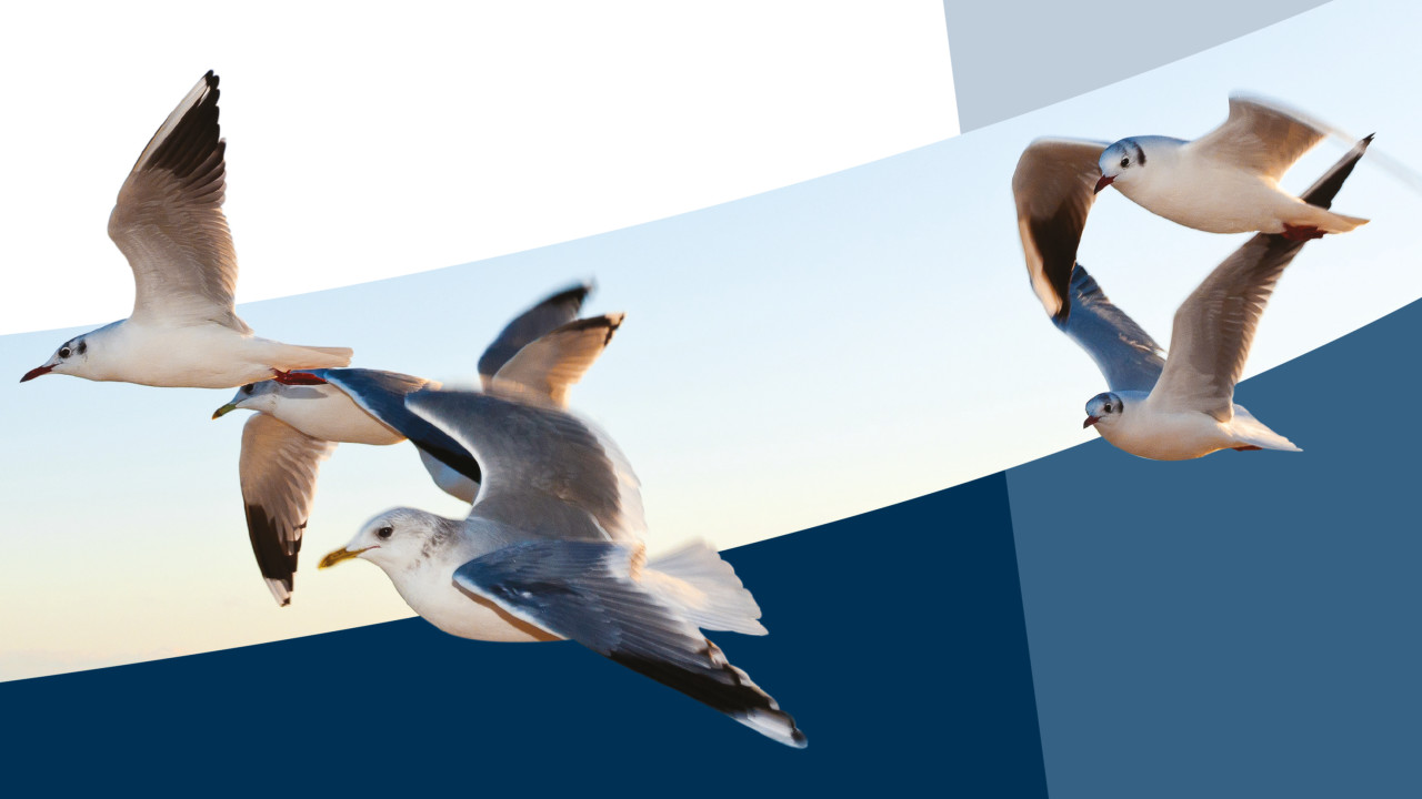 Ventilatie Techniek Brabant B.V. Mierlo afbeelding 6