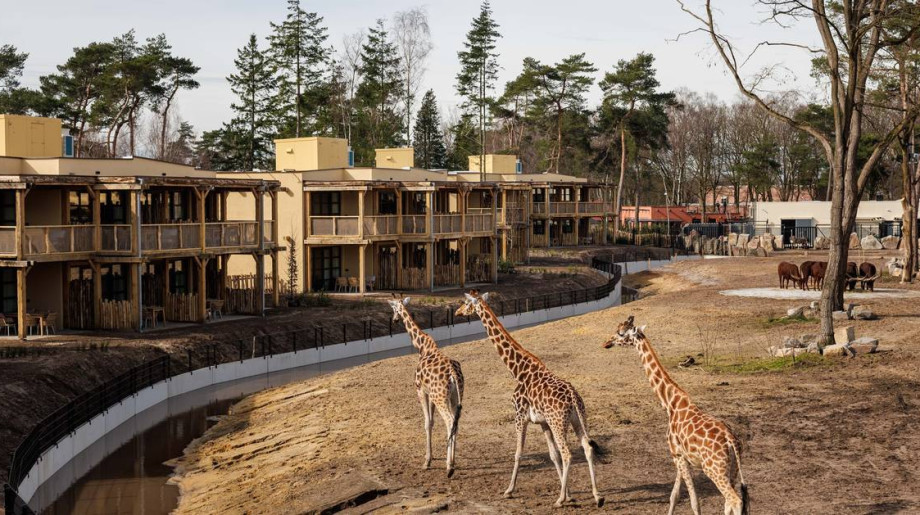 Safari Hotel Beekse Bergen Hilvarenbeek afbeelding 4