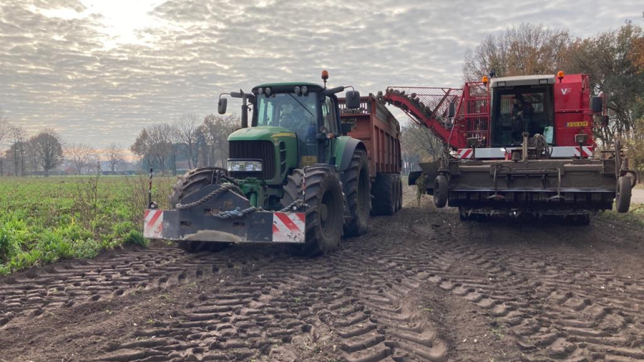 Van Dommelen-van den Borne VOF Hooge mierde afbeelding 6