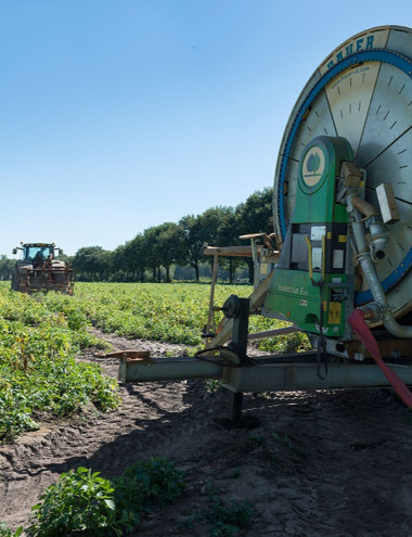 Van Dommelen-van den Borne VOF Hooge mierde afbeelding 3