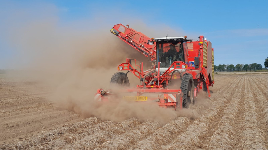 Van Dommelen-van den Borne VOF Hooge mierde afbeelding 4