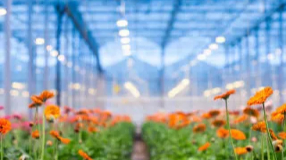 Primasta B.V. Asten afbeelding 2