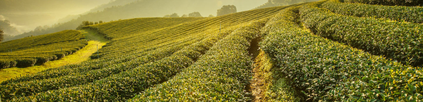 Medewerker Kwaliteit & Product Ontwikkeling