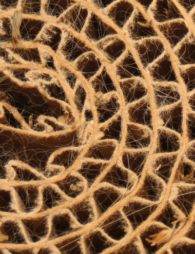 CSG Clean Solutions Eersel afbeelding 5 CSG Clean Solutions Eersel afbeelding 5