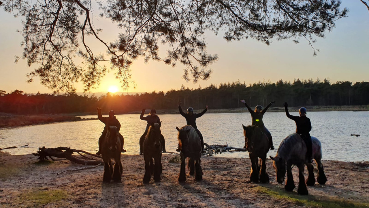 Hut van Mie Pils B.V. Waalre afbeelding 6 Hut van Mie Pils B.V. Waalre afbeelding 6