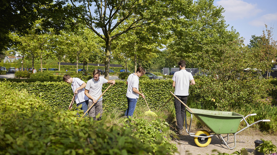 Recreatiepark TerSpegelt Eersel afbeelding 2