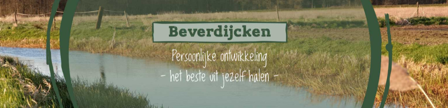 Sociaal werker 4