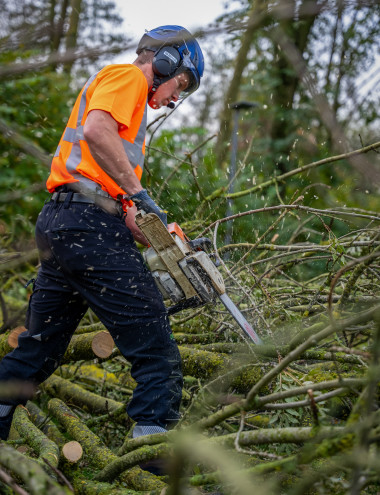 Slaats Boomverzorging B.V. Eindhoven afbeelding 5