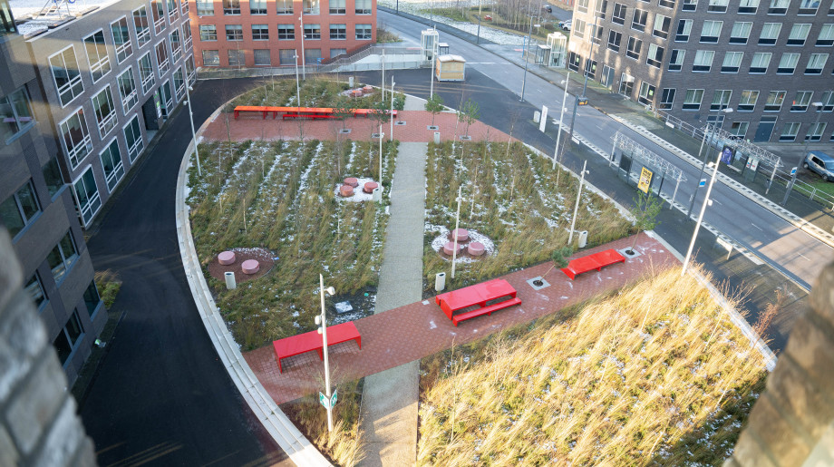 Accent adviseurs Eindhoven afbeelding 4