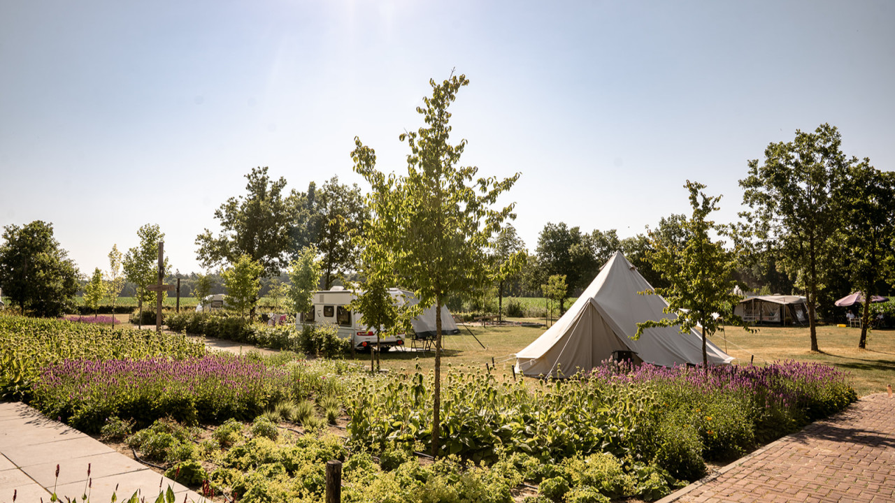 Verblijf bij Hygge Bergeijk afbeelding 6