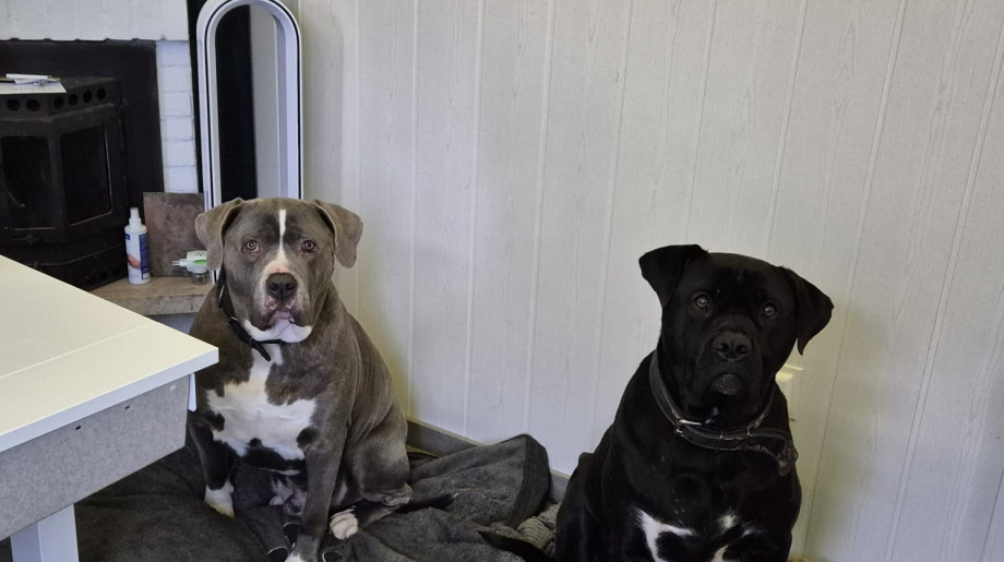 LTNC B.V. Leende afbeelding 2