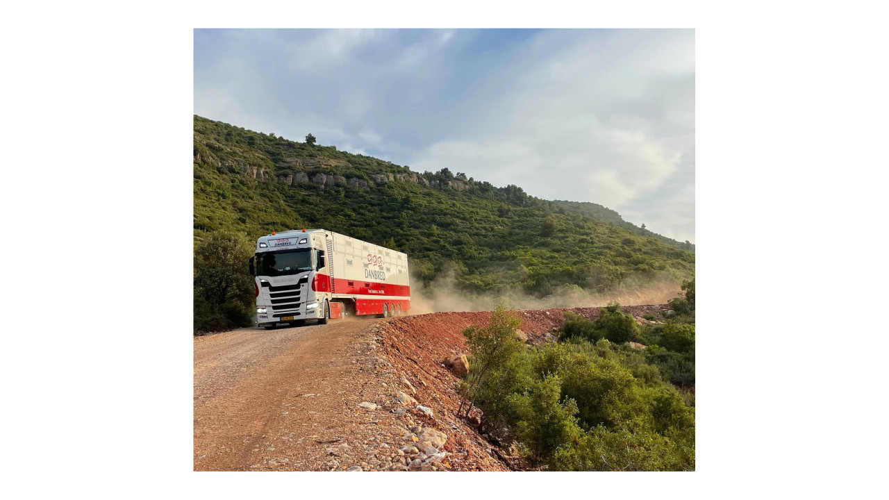 DanBred B.V. Son en breugel afbeelding 6 DanBred B.V. Son en breugel afbeelding 6