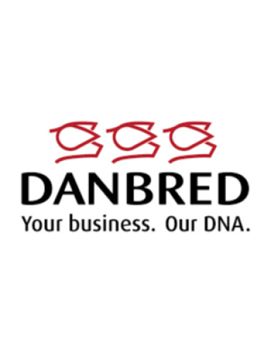 DanBred B.V. Son en breugel afbeelding 5 DanBred B.V. Son en breugel afbeelding 5