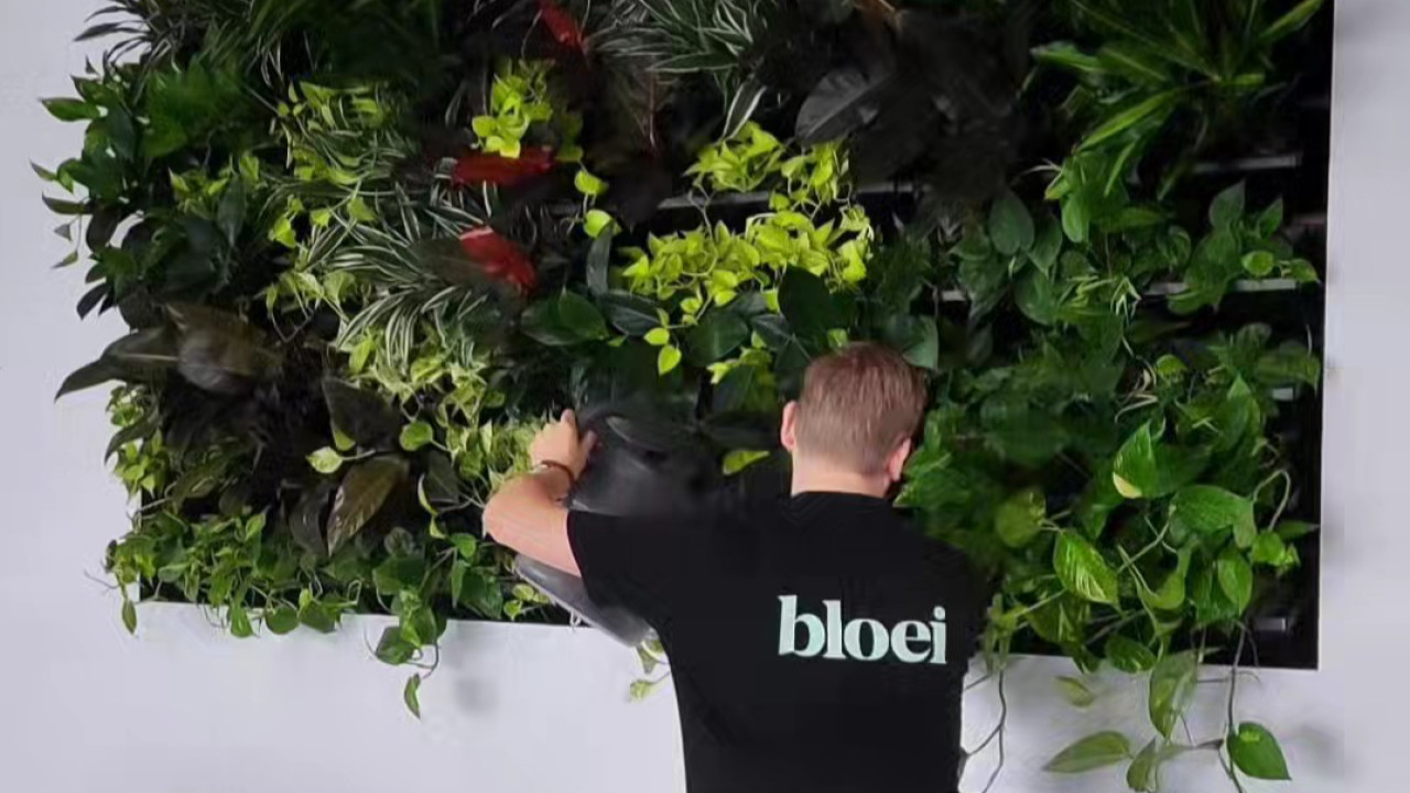Bloei Interieurbeplanting Eindhoven afbeelding 6 Bloei Interieurbeplanting Eindhoven afbeelding 6