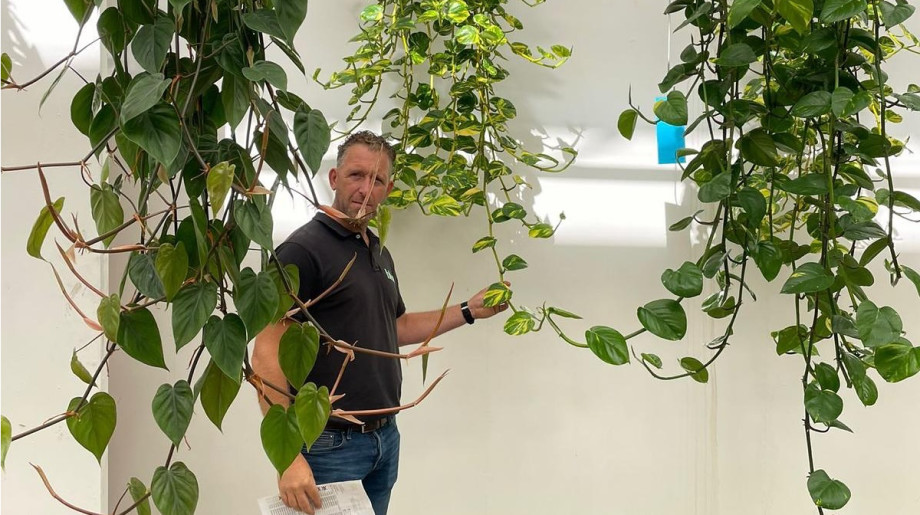 Bloei Interieurbeplanting Eindhoven afbeelding 4 Bloei Interieurbeplanting Eindhoven afbeelding 4