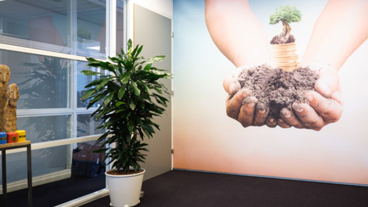 Simape B.V. Waalre afbeelding 1