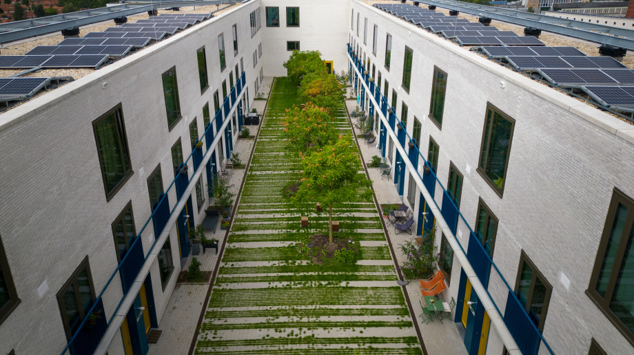 Kultuurtechnisch Hoveniersbedrijf Du Pré B.V. Helmond afbeelding 4