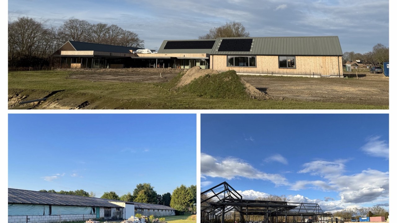 Stichting Papito Eersel afbeelding 1