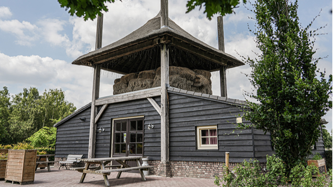 Hollandershoeve Reusel afbeelding 1